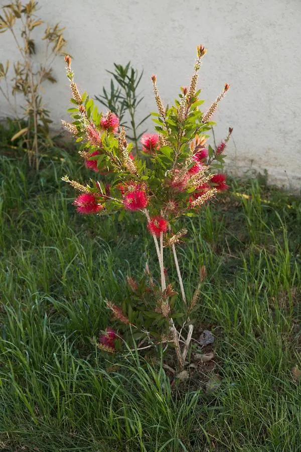 Holiday Home Visnja نين